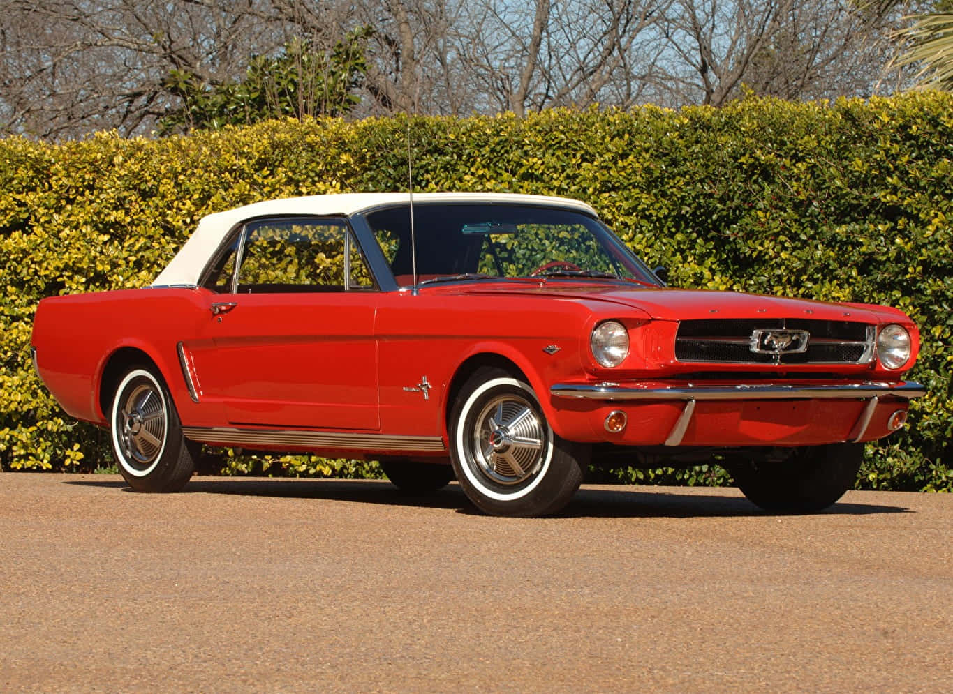 Ford Mustang GT Convertible, vibrant red, white top, HD Desktop Wallpaper
