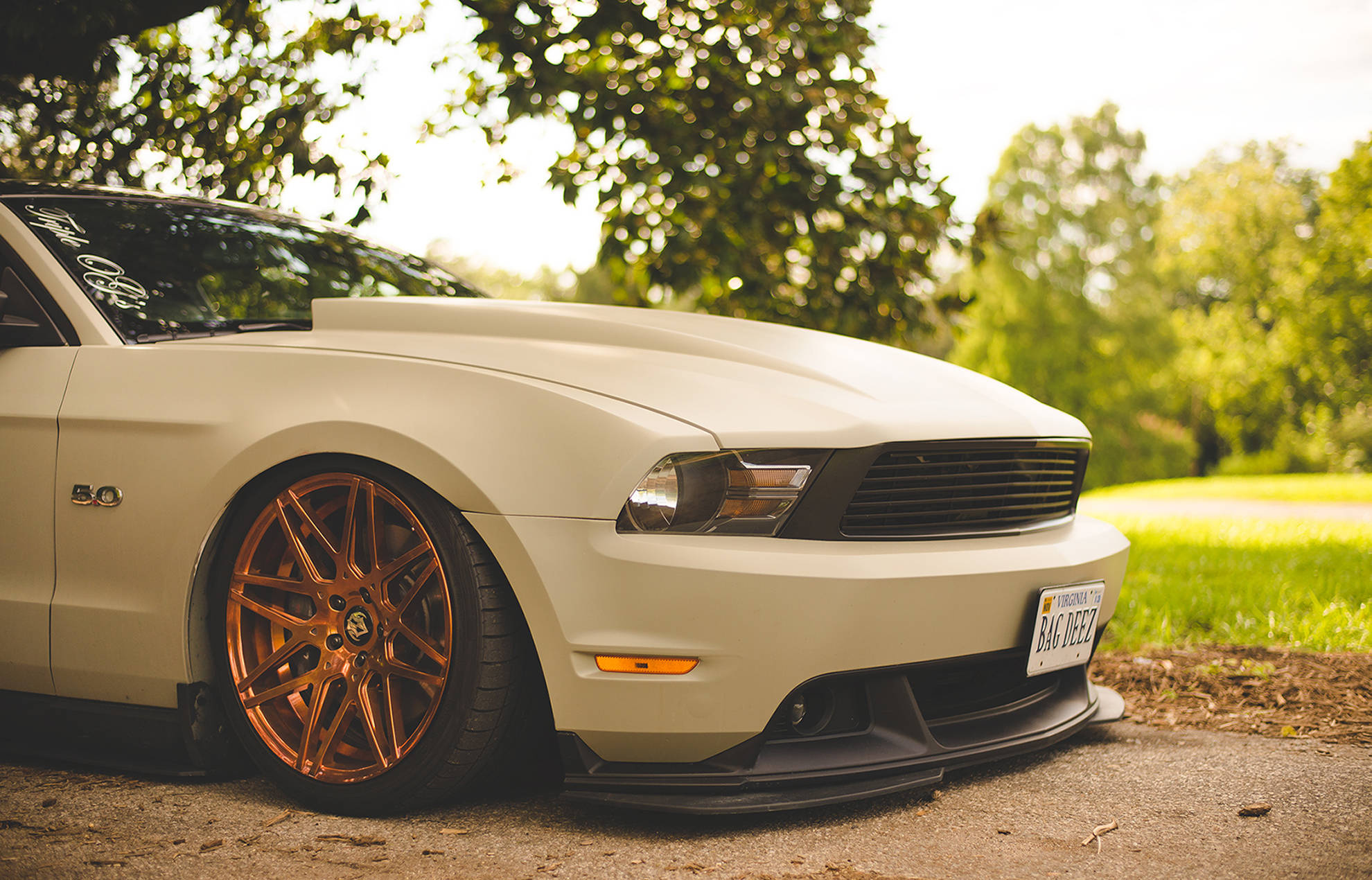 2010 Ford Mustang, white, cream-colored, Full HD Desktop Wallpaper