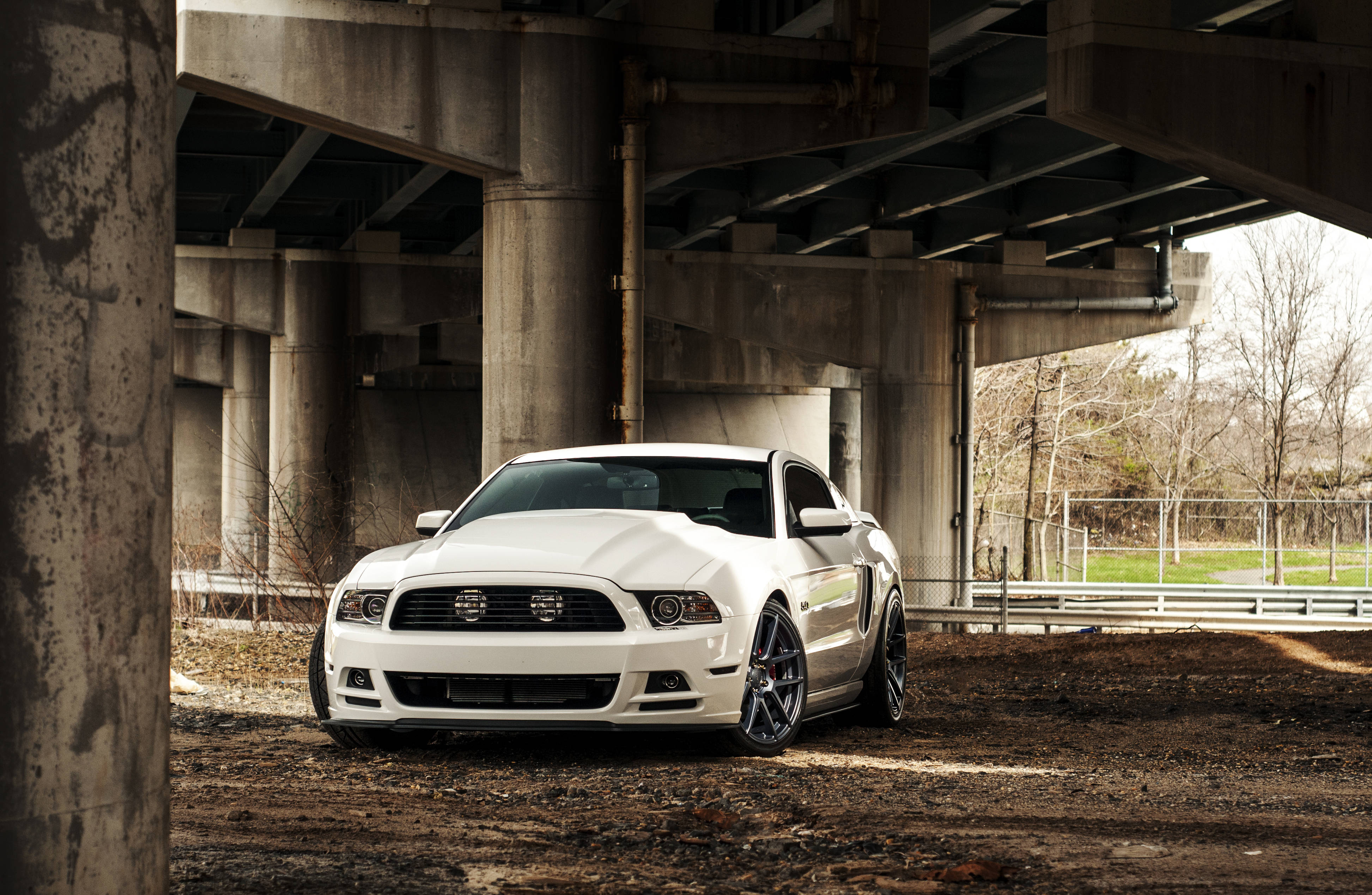 Ford Mustang, white, concrete overpass, 4K Desktop Wallpaper