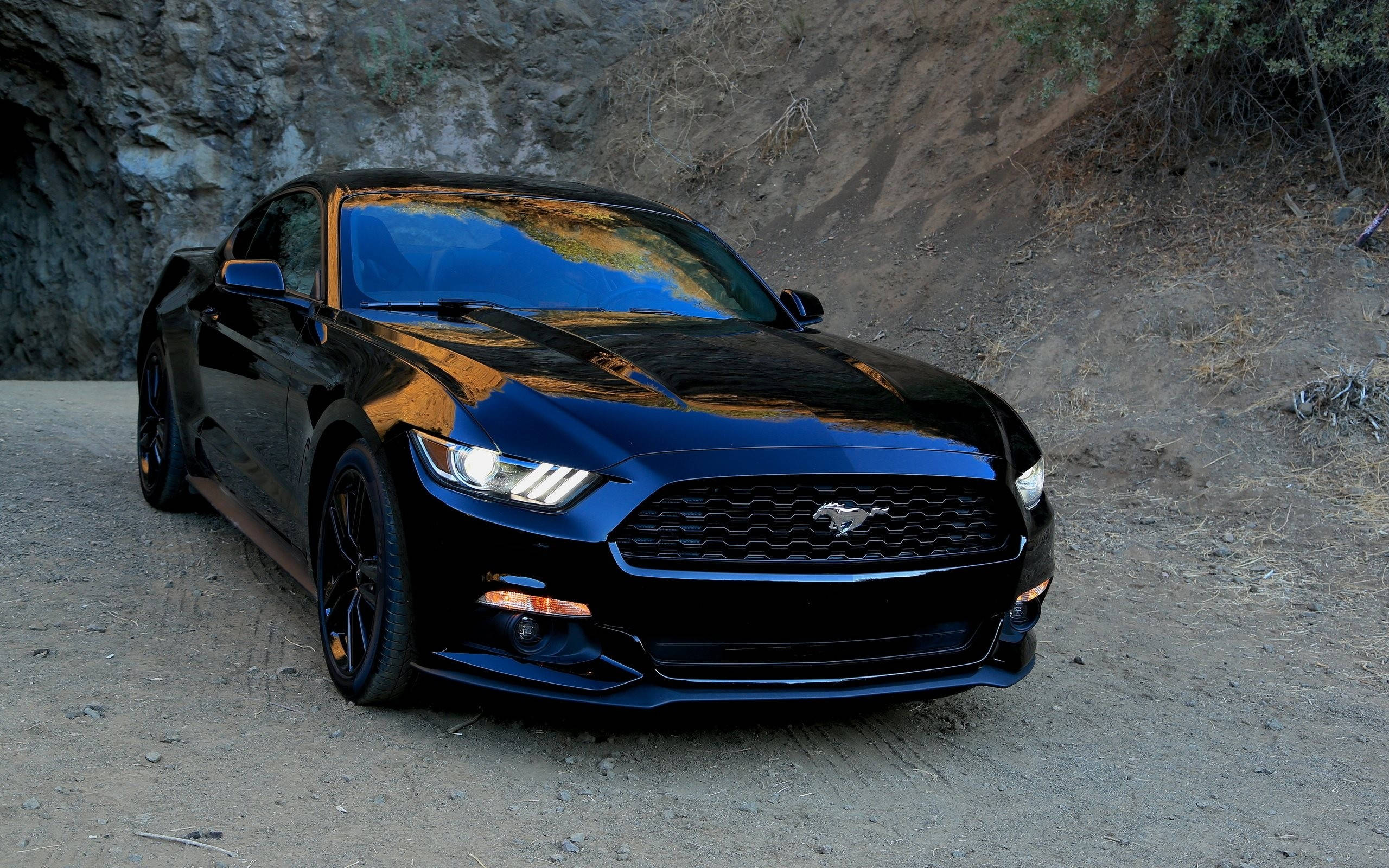Shiny Black Ford Mustang, Ford Mustang, glossy black, 2K Desktop Wallpaper