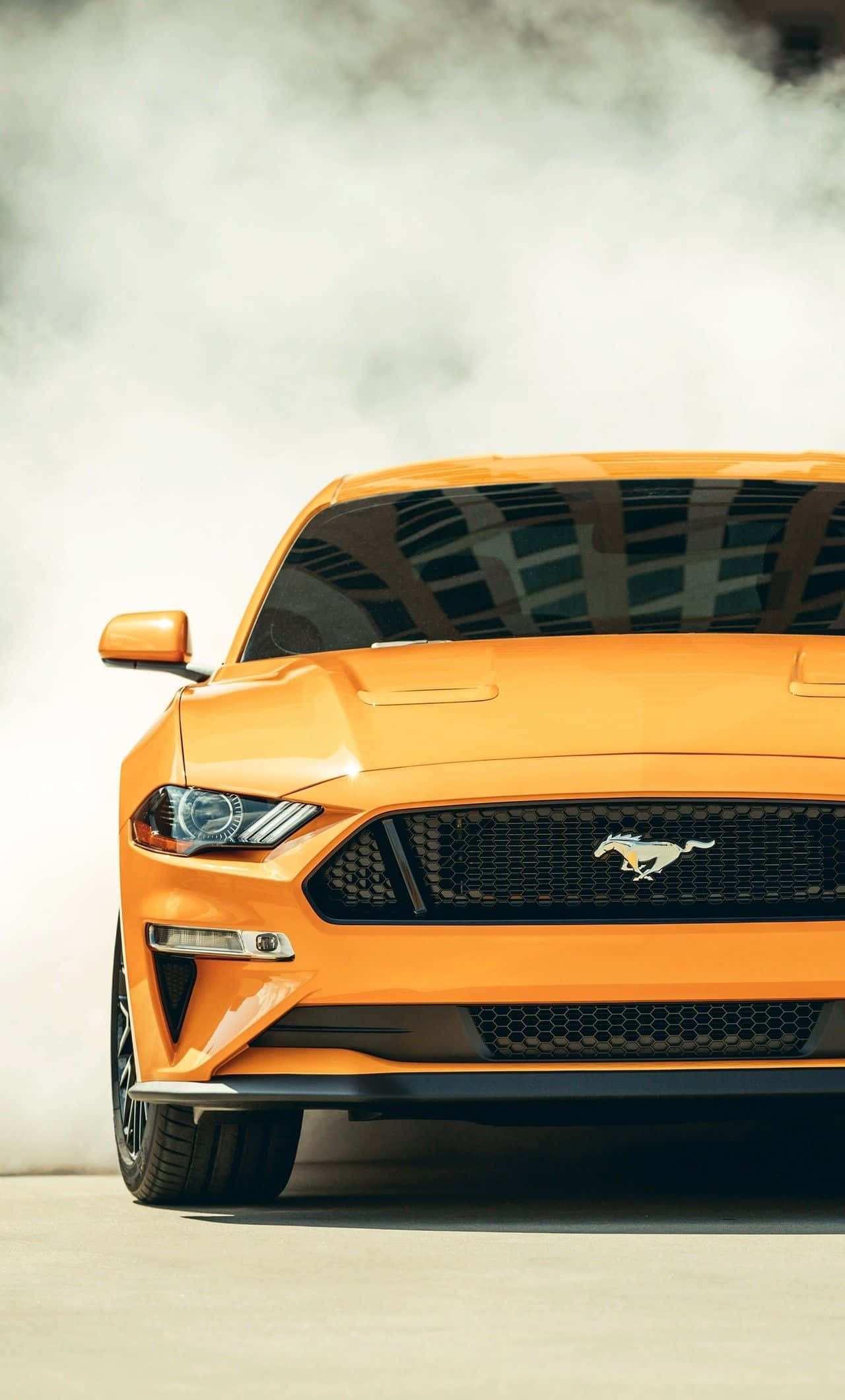2019 Ford Mustang, vibrant orange, burnout, Full HD Phone Wallpaper