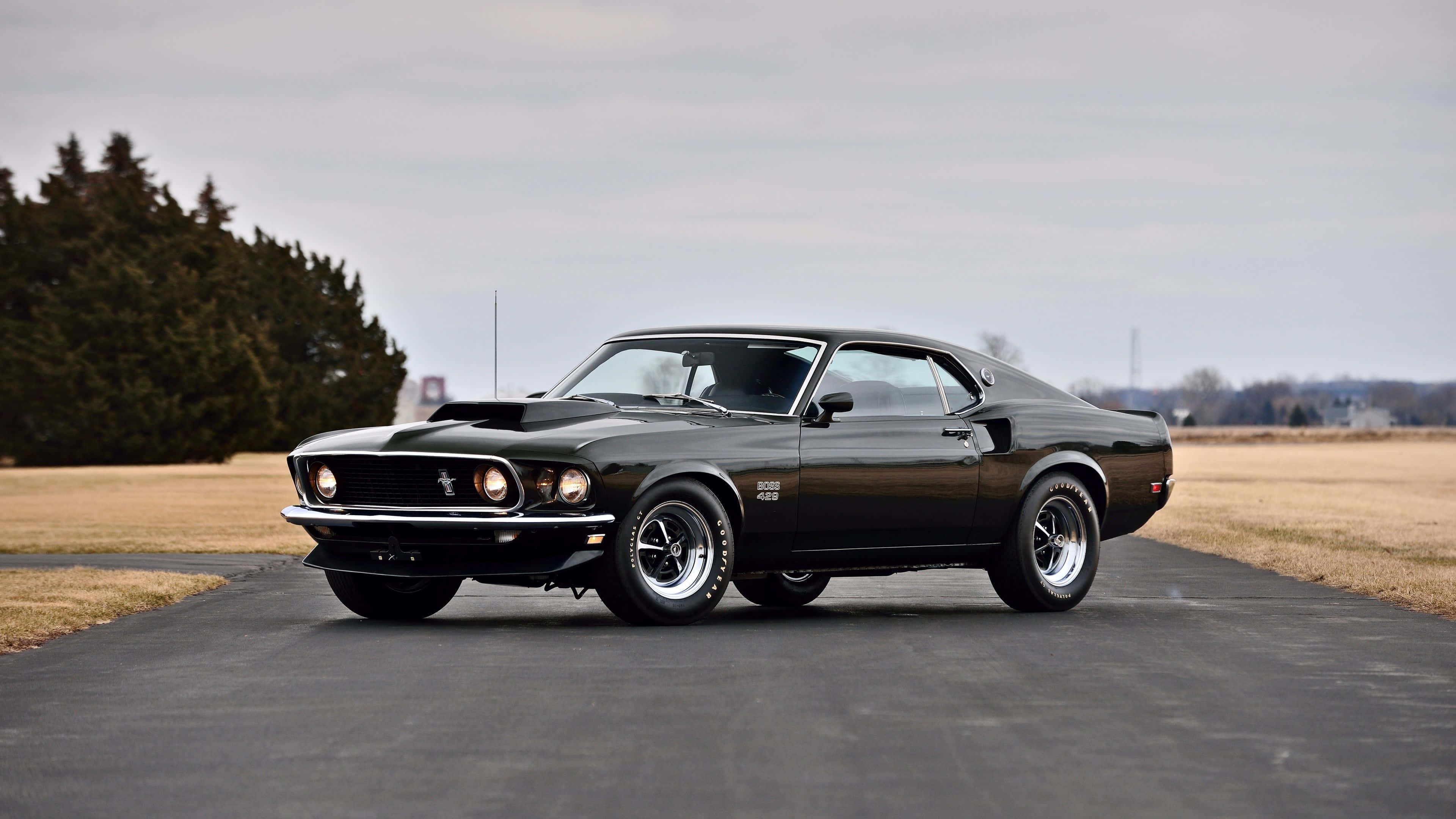 Ford Mustang Mach 1, sleek black classic muscle car, paved road, 4K Desktop Wallpaper