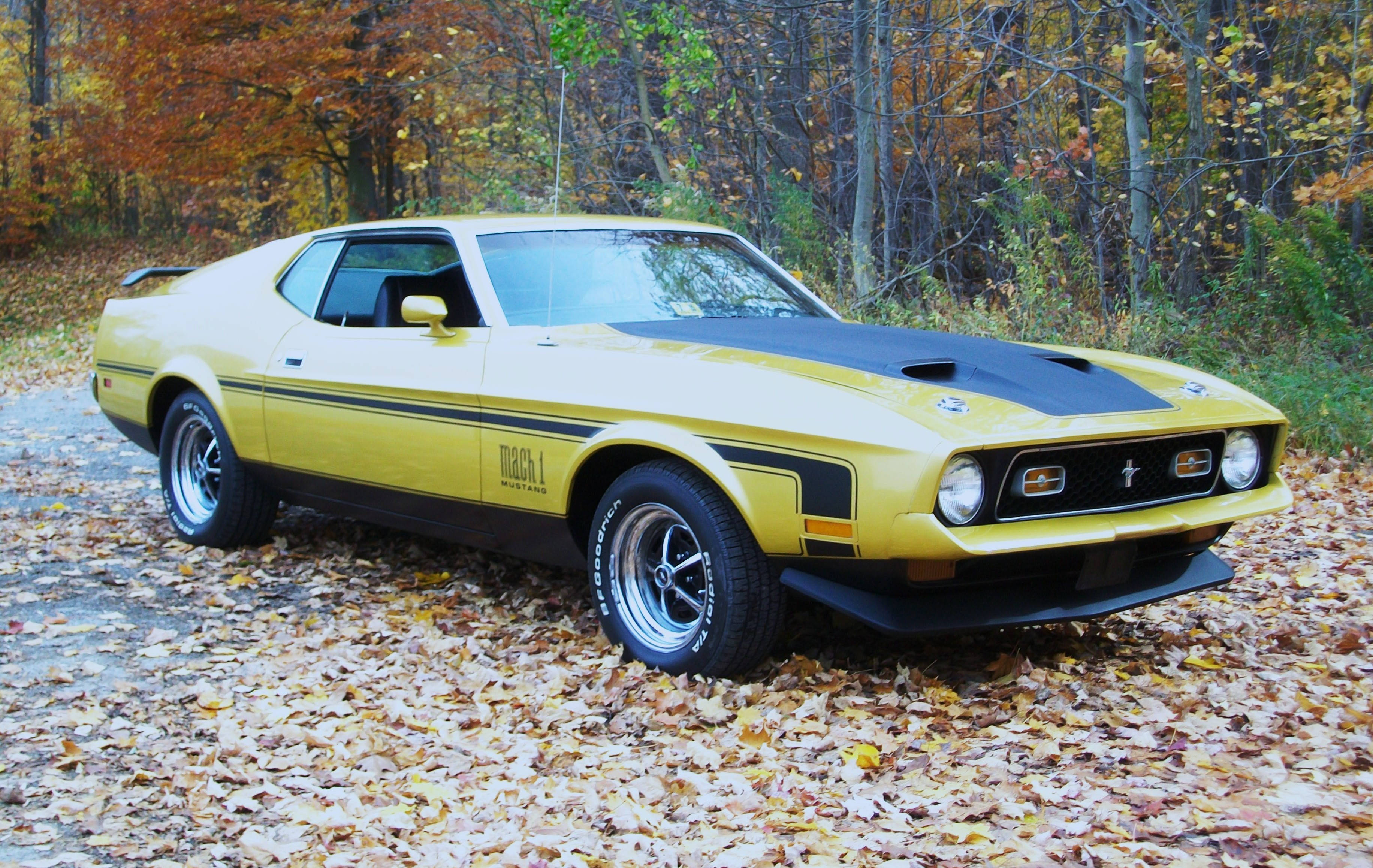 Ford Mustang Mach 1, yellow, classic, 2K Desktop Wallpaper