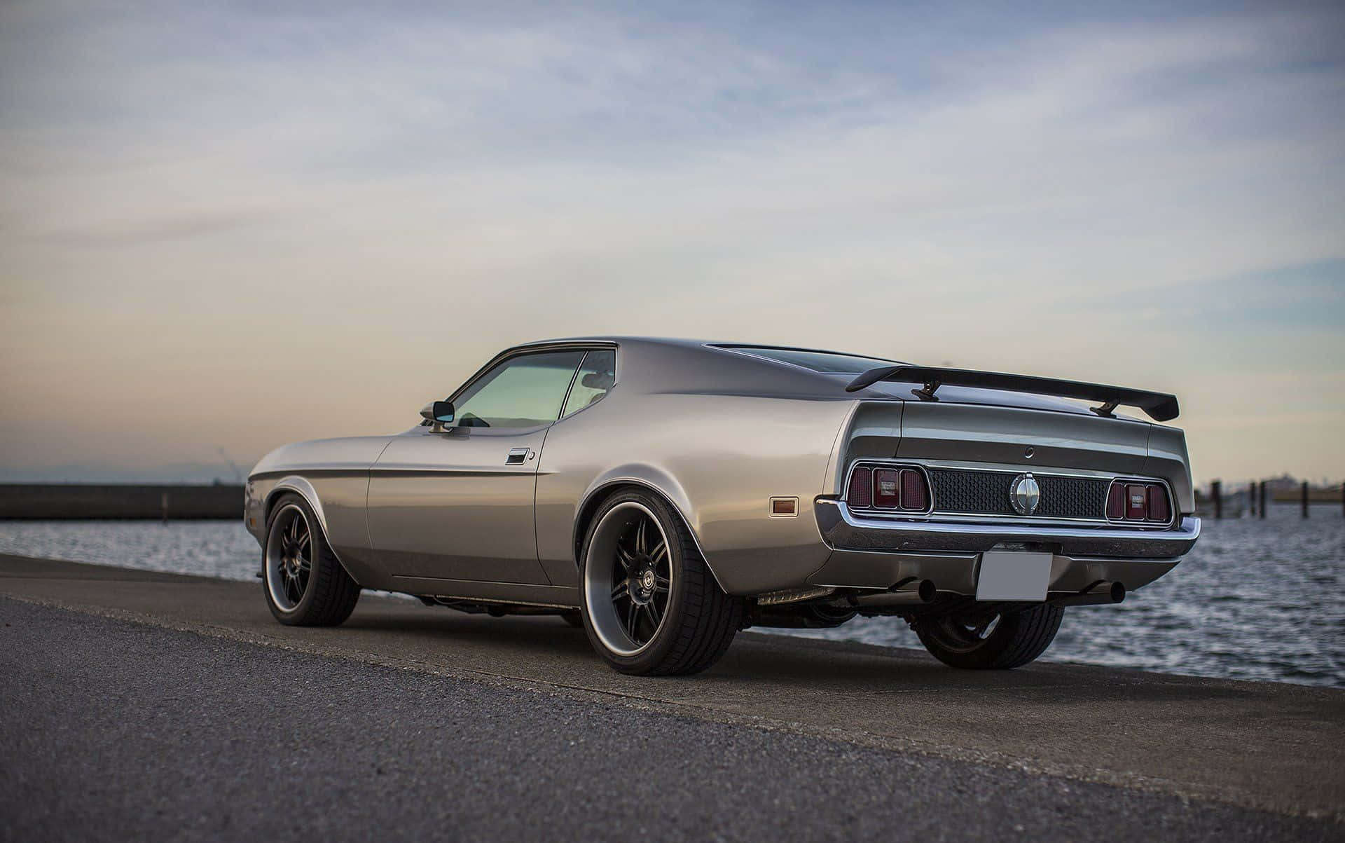 Ford Mustang Mach 1, silver, black spoiler, Full HD Desktop Wallpaper