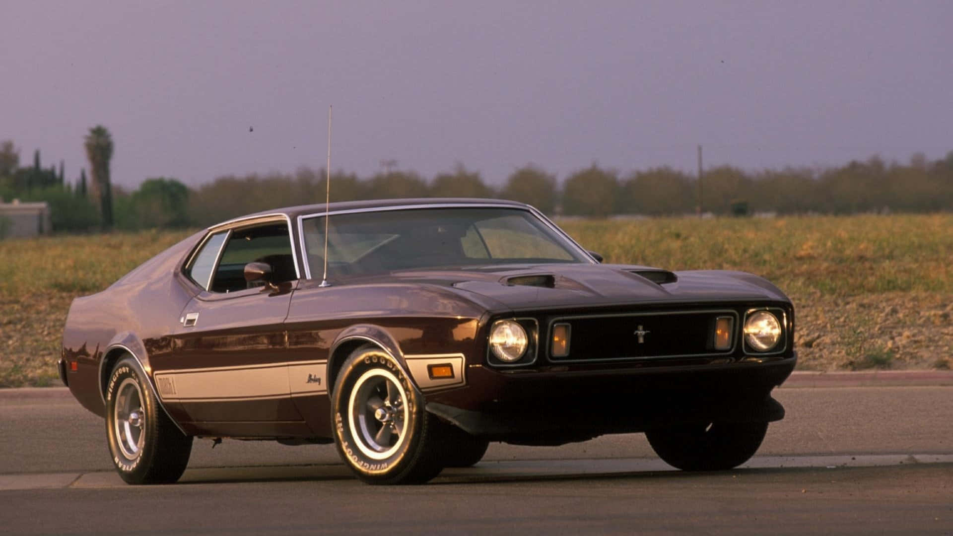 Ford Mustang Mach 1, brown, white racing stripes, Full HD Desktop Wallpaper