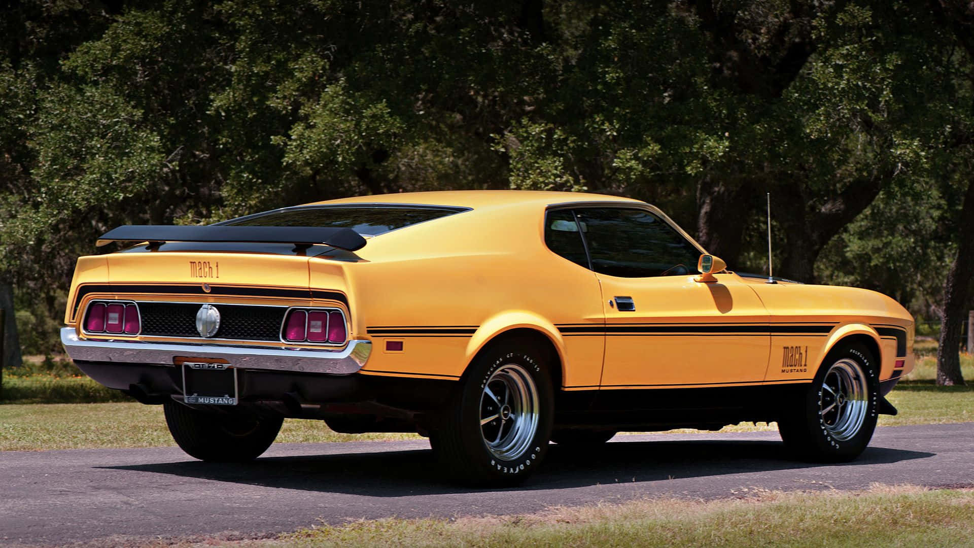 Ford Mustang Mach 1, vibrant yellow, bright sunlight, Full HD Desktop Wallpaper