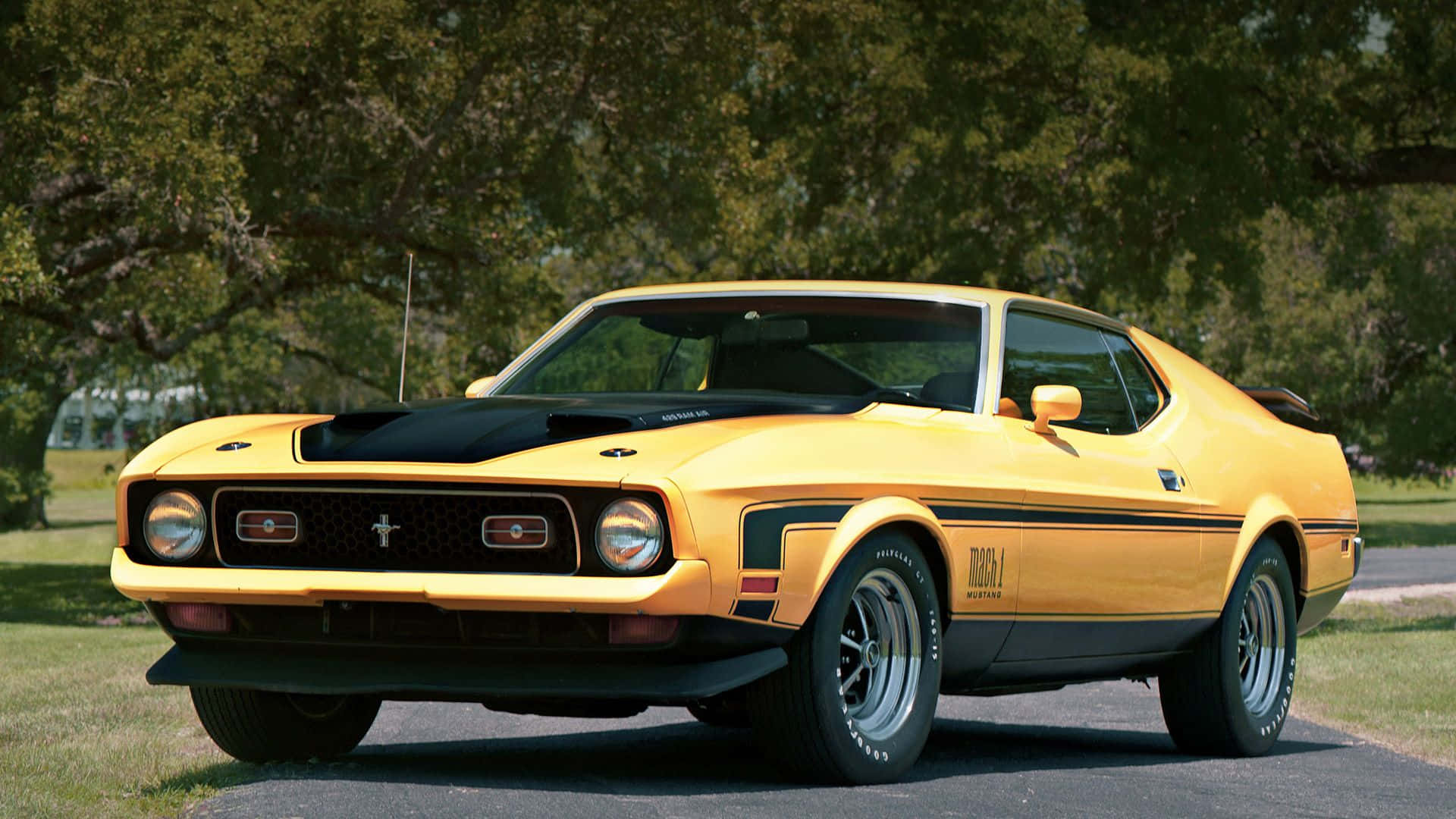 Ford Mustang Mach 1, vibrant yellow, black racing stripes, Full HD Desktop Wallpaper