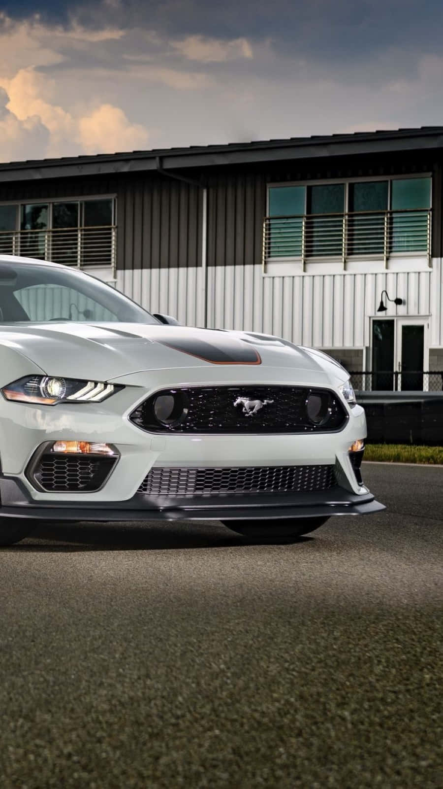 Ford Mustang Mach 1, white, black racing stripes, HD Phone Wallpaper