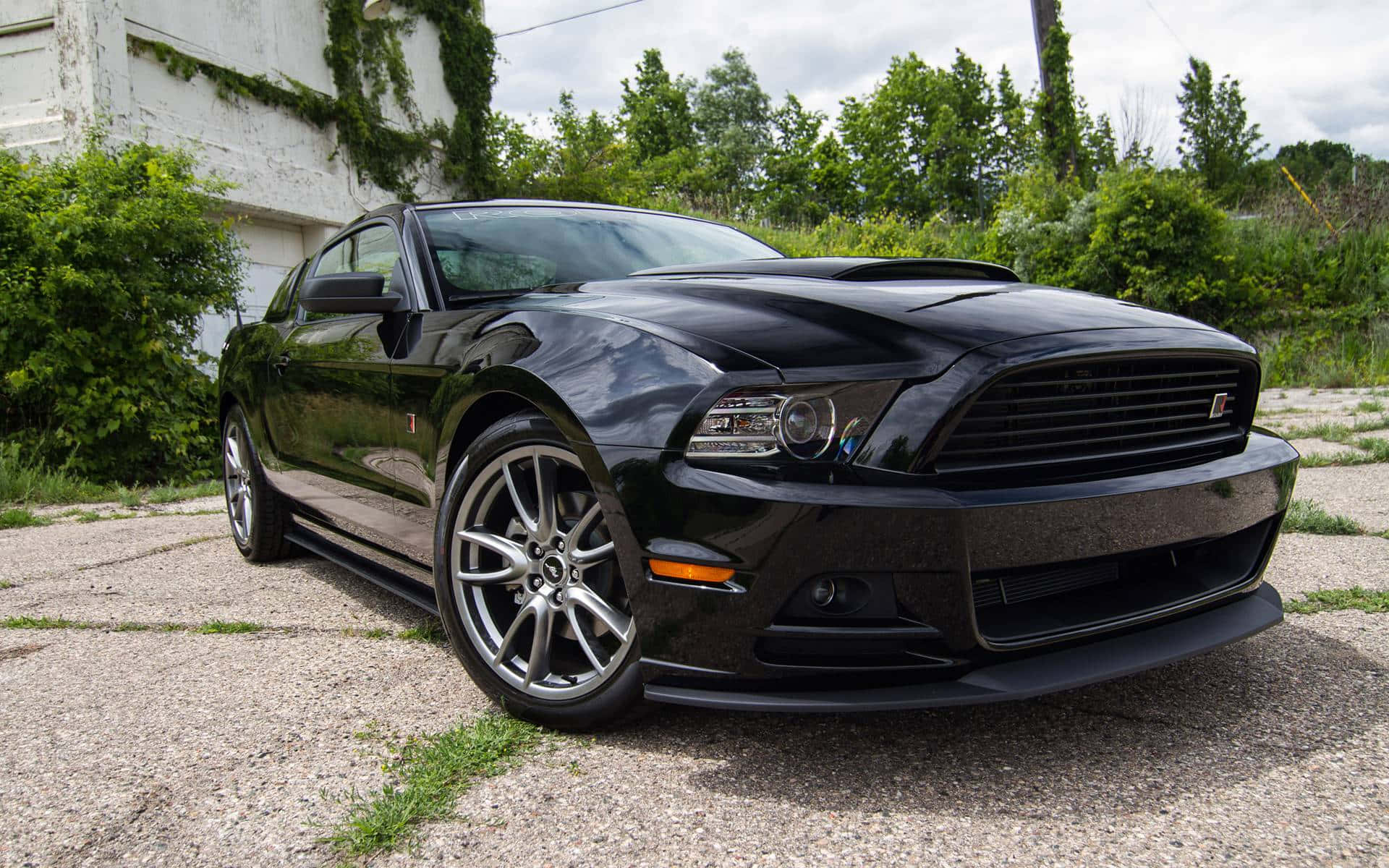 Ford Mustang Roush, glossy black, gravel, Full HD Desktop Wallpaper