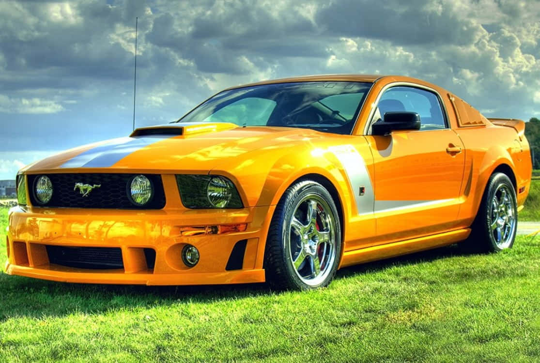 Ford Mustang Roush, vibrant orange, blue stripes, SD Desktop Wallpaper