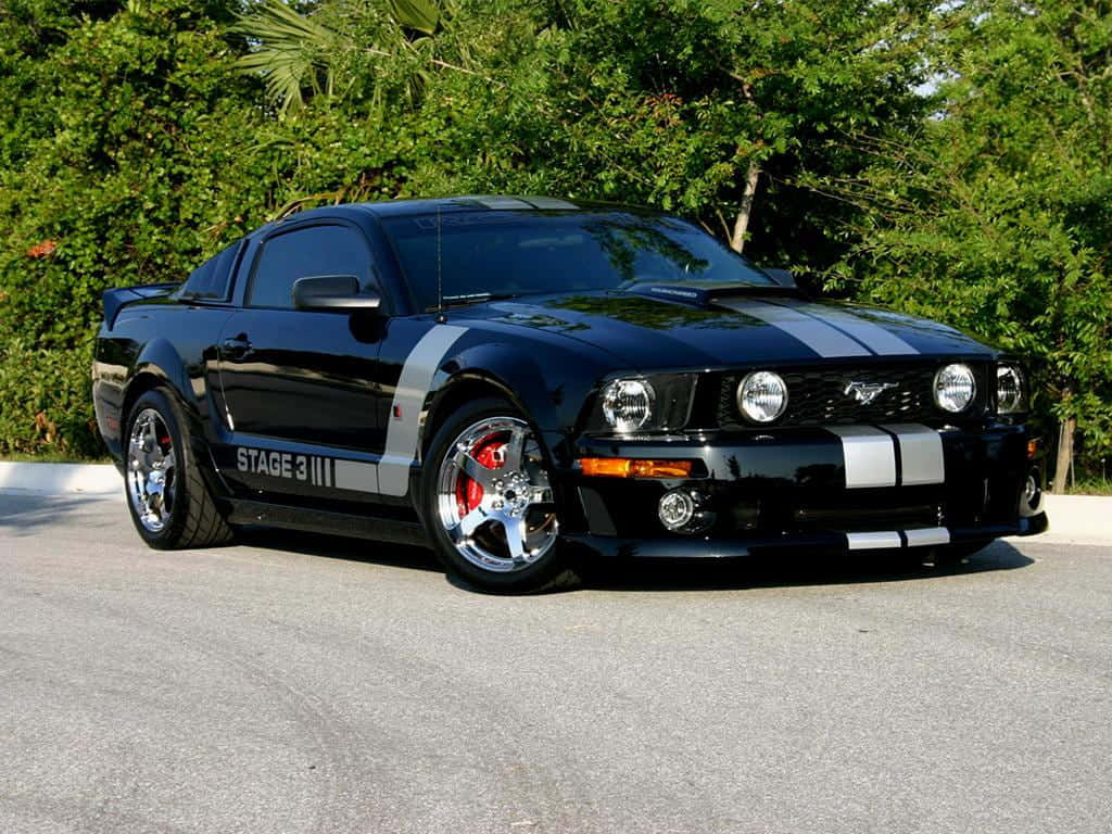 Ford Mustang Roush, glossy black, white racing stripes, SD Desktop Wallpaper