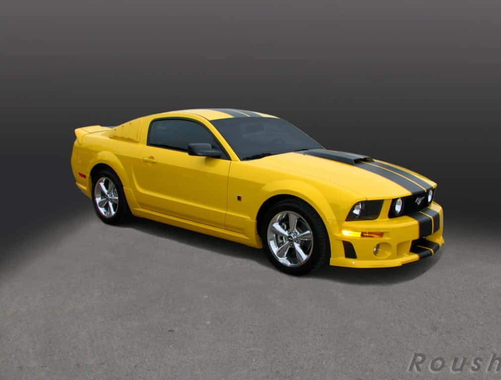 Ford Mustang Roush, vibrant yellow, black racing stripes, SD Desktop Wallpaper