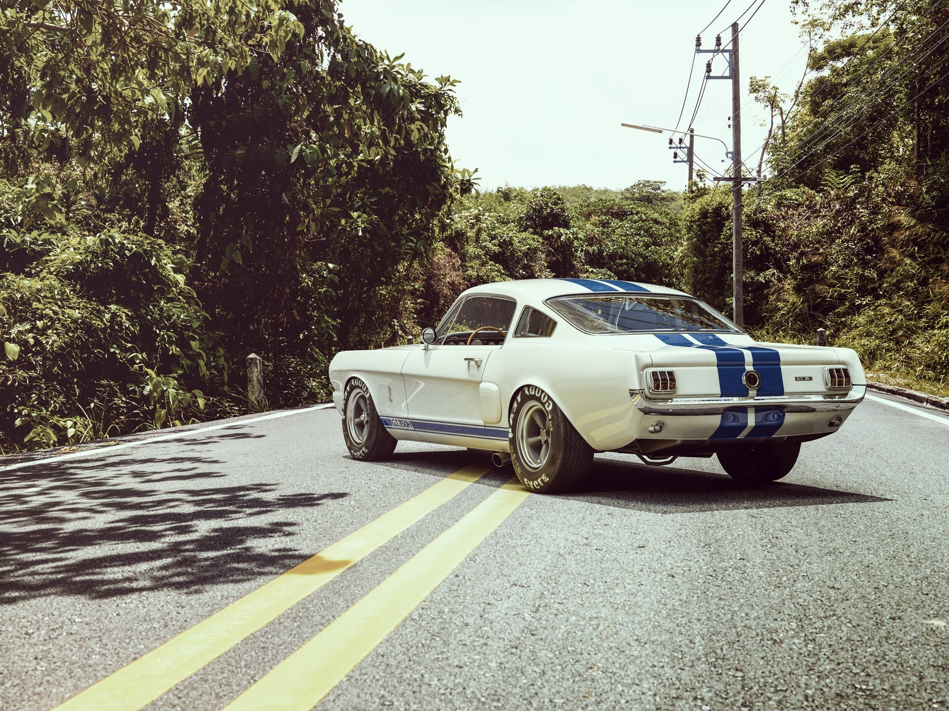 Ford Shelby GT350, 1965, white, Full HD Desktop Wallpaper