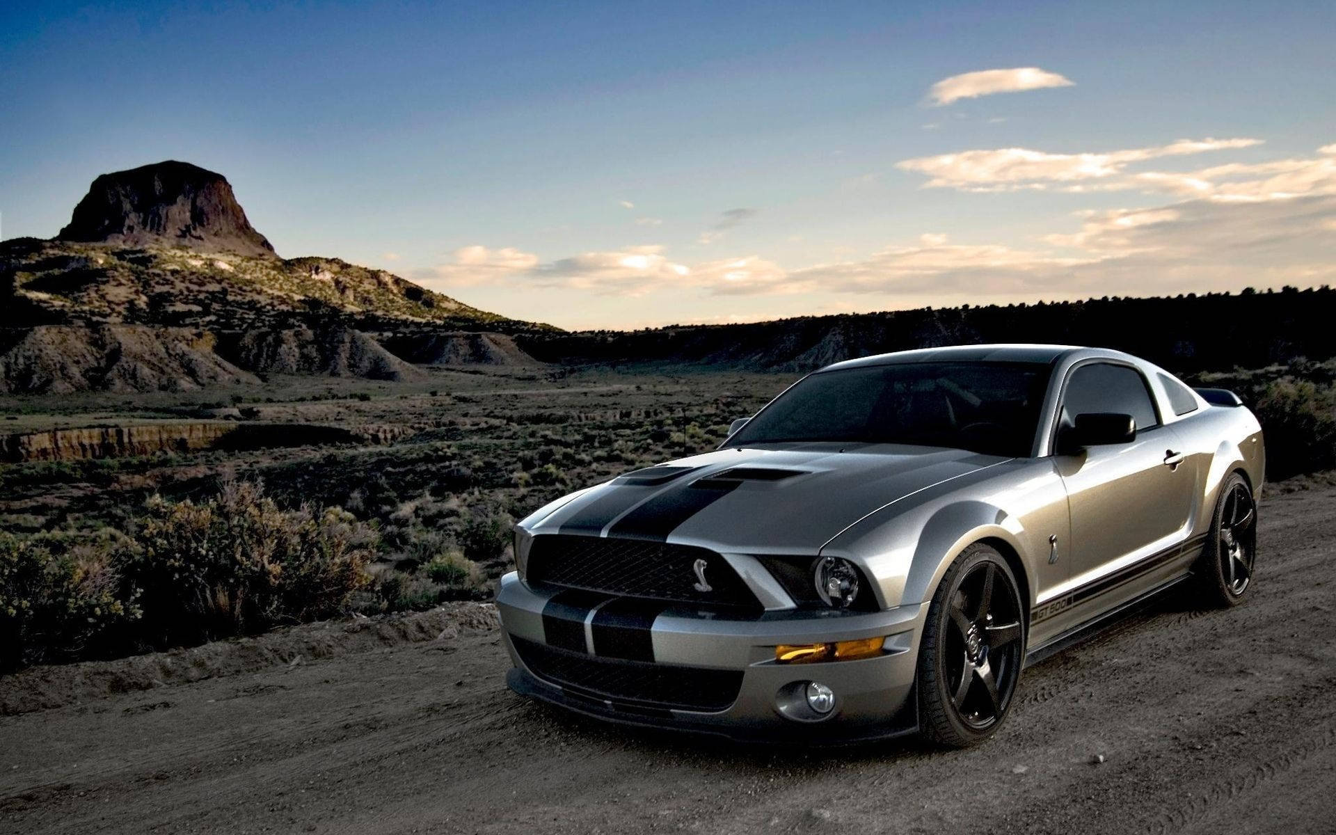 silver metallic Ford Mustang Shelby, black racing stripes, dusty desert road, Full HD Desktop Wallpaper