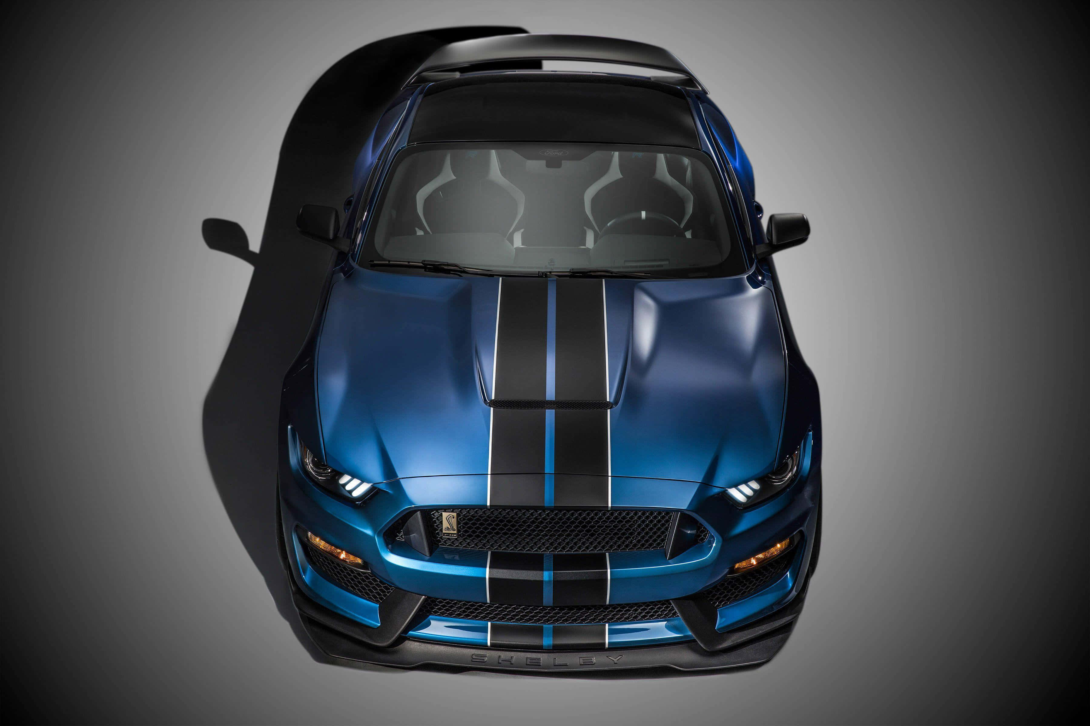 Ford Mustang Shelby GT350, glossy blue, black racing stripes, 2K Desktop Wallpaper