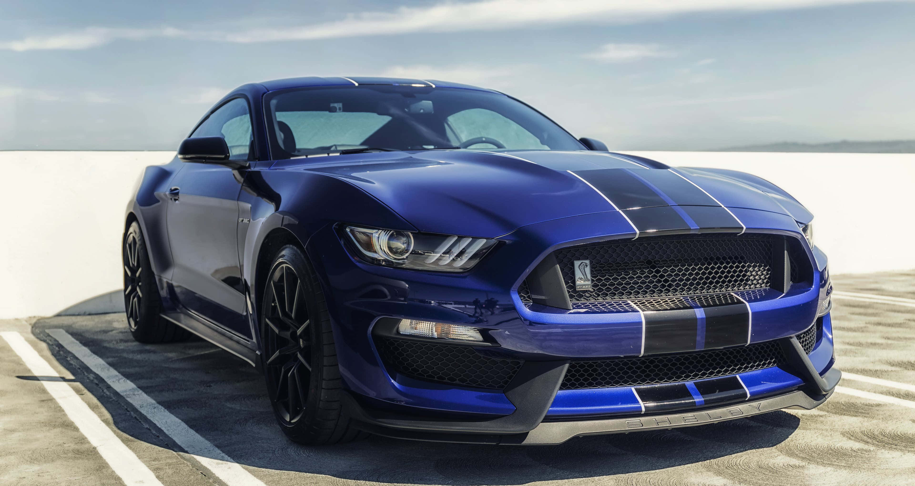 Ford Mustang Shelby GT350, glossy blue, black racing stripes, 4K Desktop Wallpaper