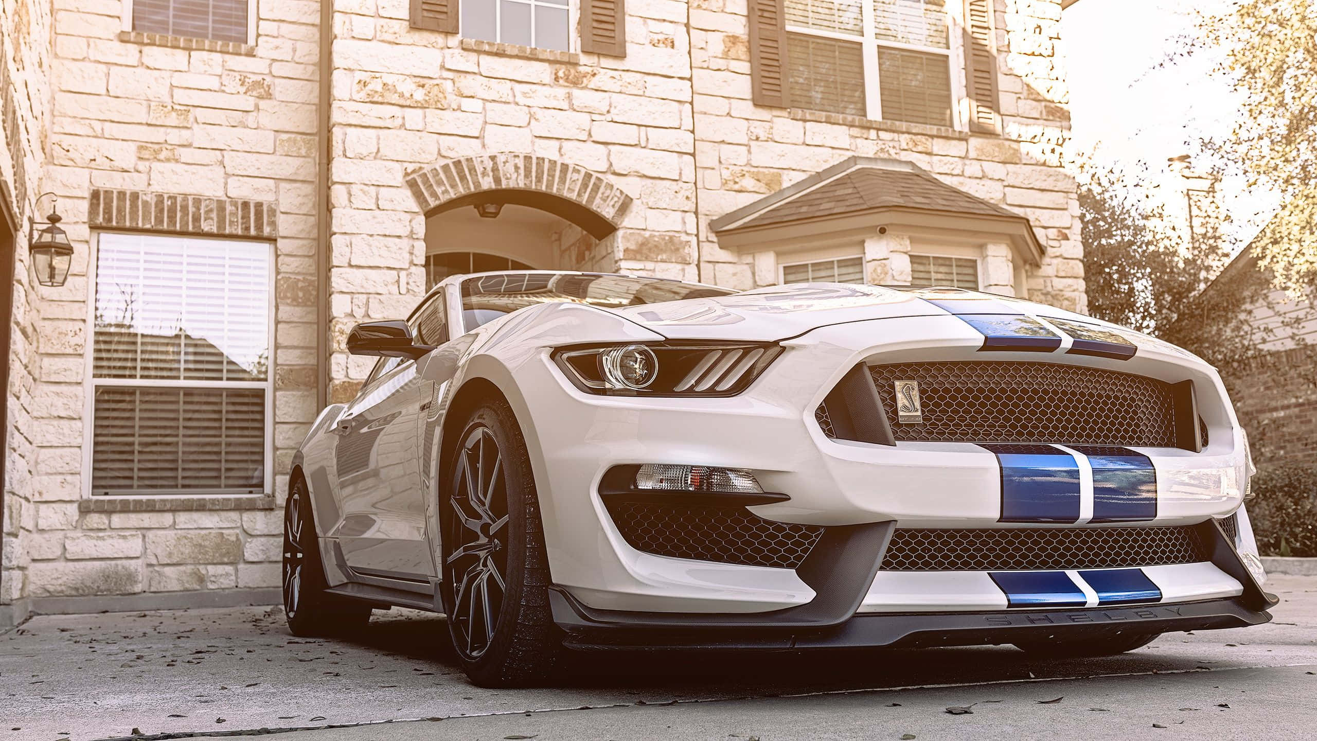 Ford Mustang Shelby GT350, white, blue racing stripes, 2K Desktop Wallpaper