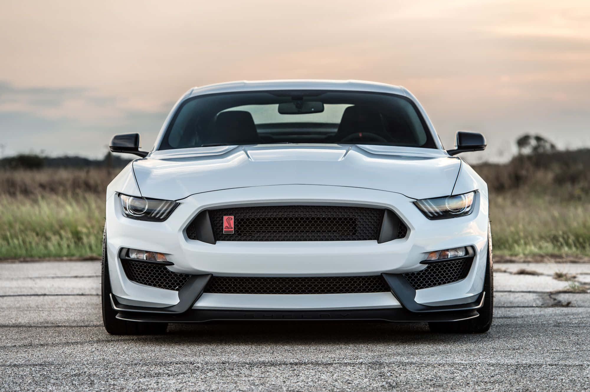 Ford Mustang Shelby GT350, white, cracked asphalt road, Full HD Desktop Wallpaper