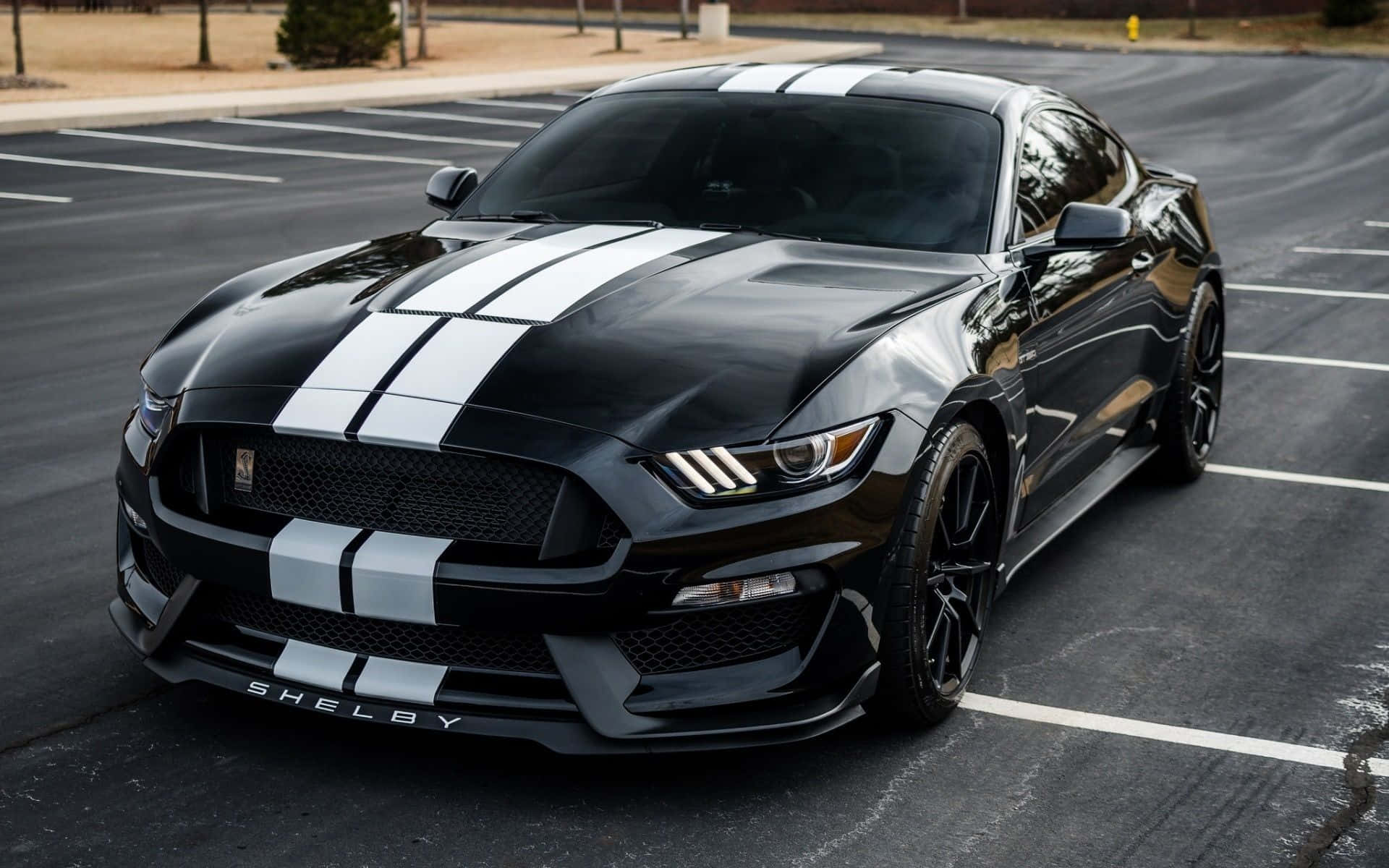 Ford Mustang Shelby GT350, black, white racing stripes, Full HD Desktop Wallpaper