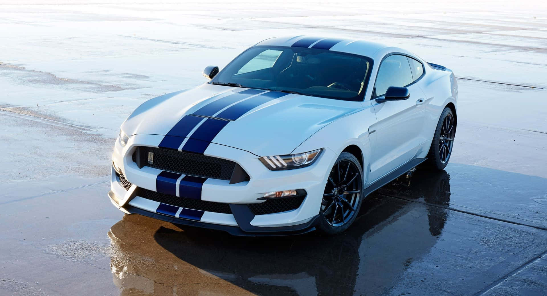 Ford Mustang Shelby GT350, white, blue racing stripes, Full HD Desktop Wallpaper