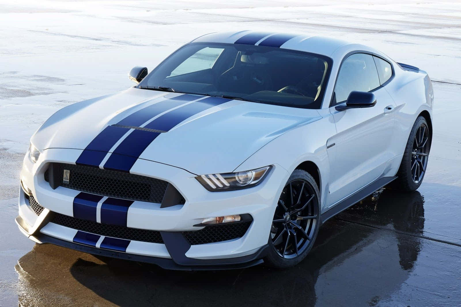 Ford Mustang Shelby GT350, white, bold blue racing stripes, HD Desktop Wallpaper