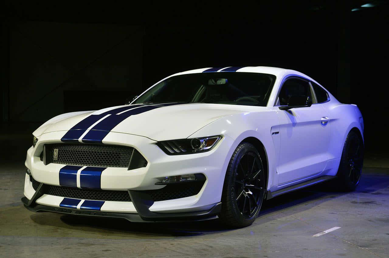 Ford Mustang Shelby GT350, white, bold blue racing stripes, HD Desktop Wallpaper