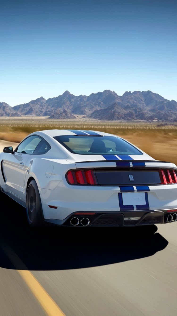 Ford Mustang Shelby GT350, white, blue racing stripes, HD Phone Wallpaper