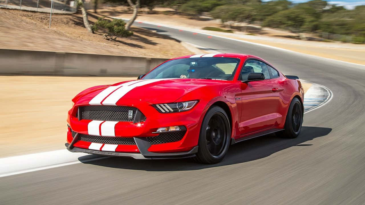 Ford Mustang Shelby GT350, vibrant red, white racing stripes, HD Desktop Wallpaper