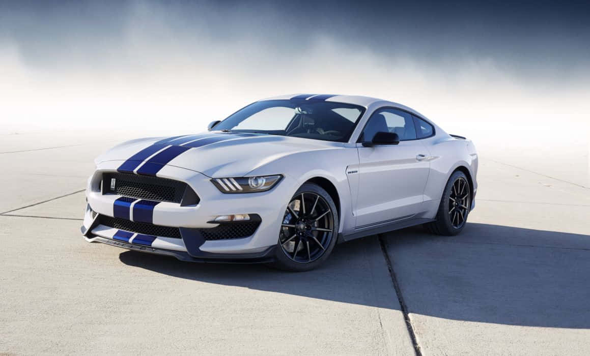 Ford Mustang Shelby GT350, white, blue racing stripes, SD Desktop Wallpaper