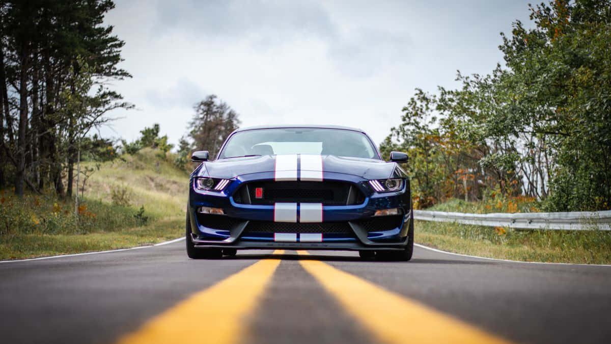 Ford Mustang Shelby GT350, blue, white racing stripes, SD Desktop Wallpaper