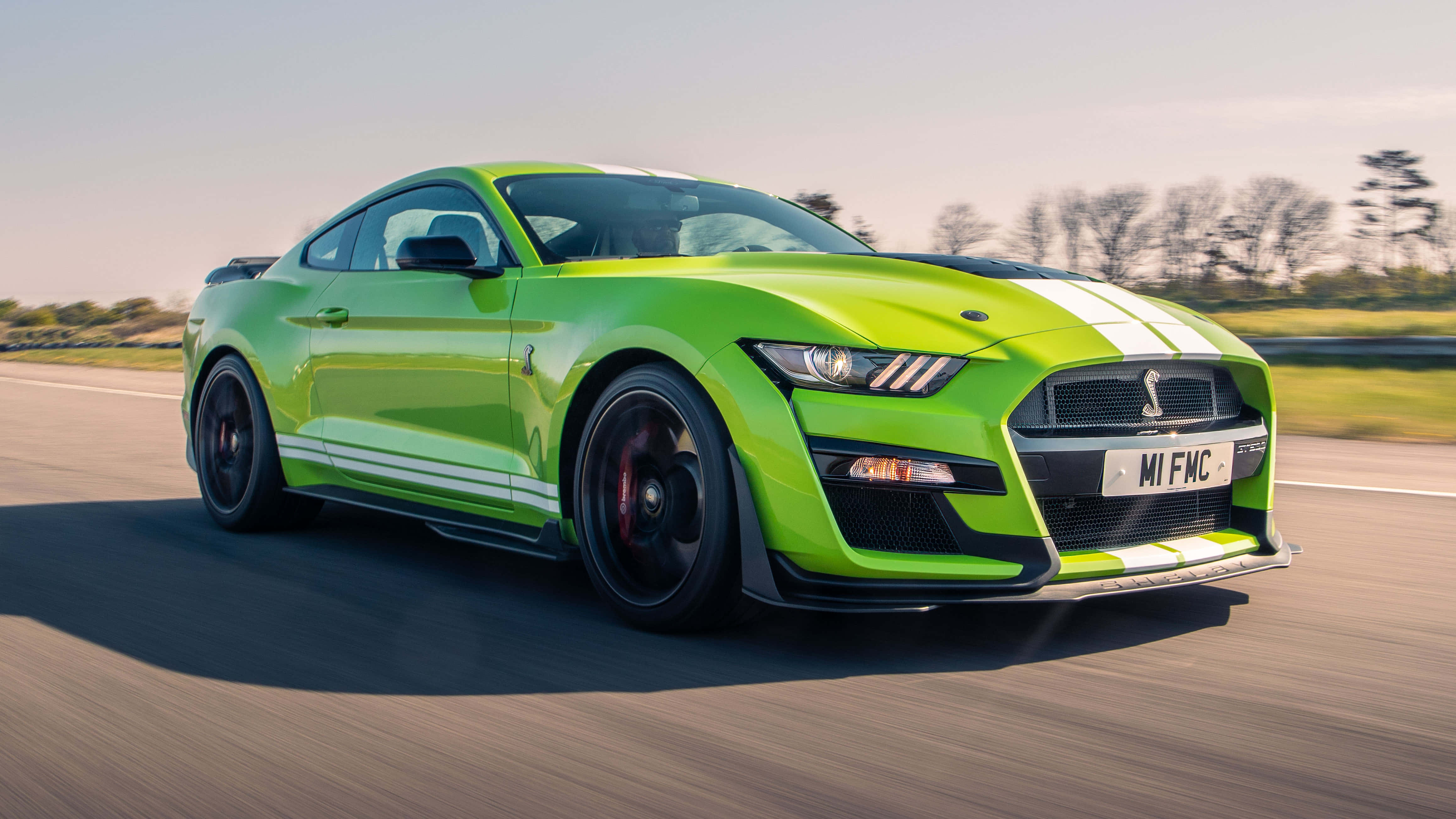 Ford Mustang Shelby GT500, lime green, white racing stripes, 4K Desktop Wallpaper