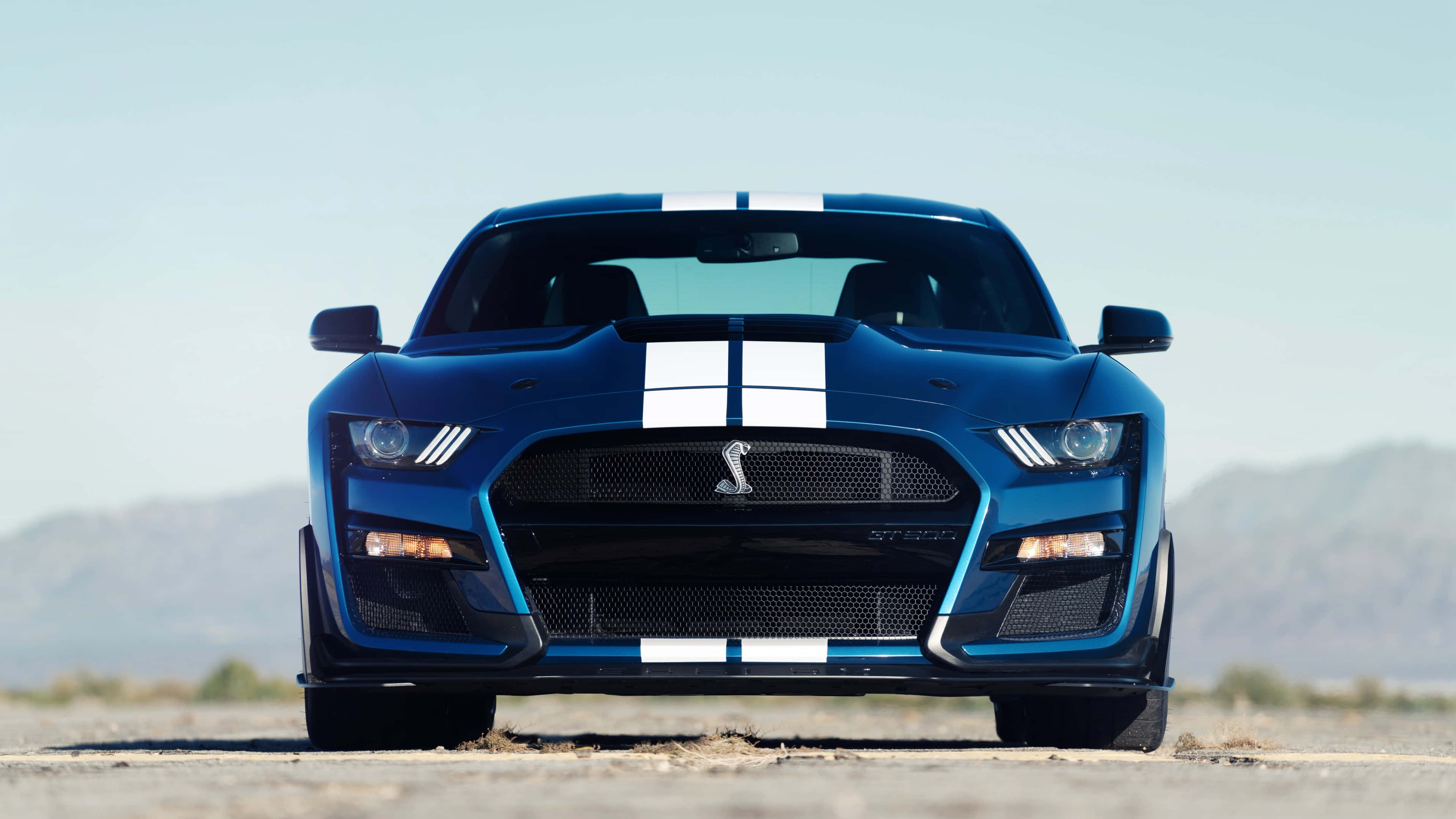 Ford Mustang Shelby GT500, blue, white racing stripes, 4K Desktop Wallpaper