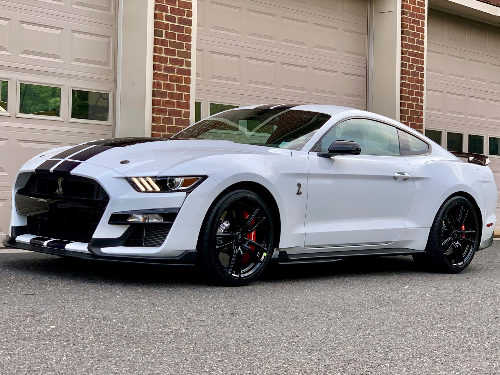 Ford Mustang Shelby GT500, white, black racing stripes, Full HD Desktop Wallpaper