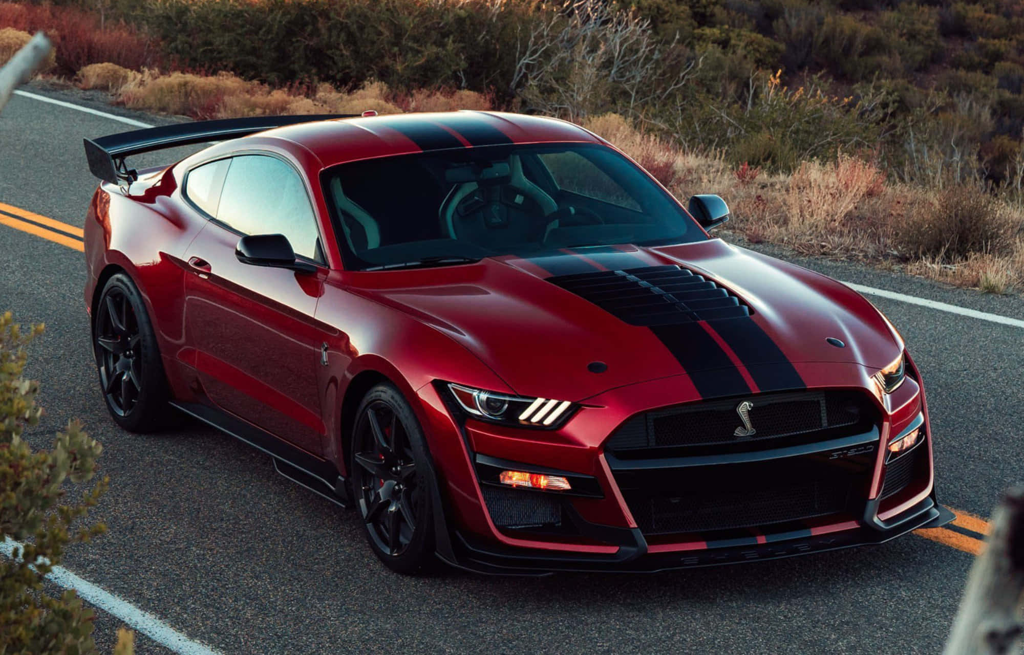 Ford Mustang Shelby GT500, glossy red, black racing stripes, Full HD Desktop Wallpaper