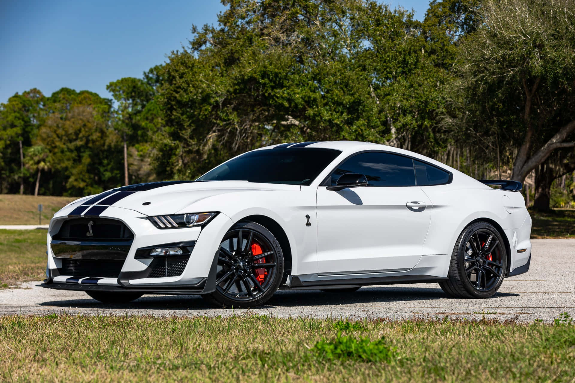Ford Mustang Shelby GT500, white, black racing stripes, Full HD Desktop Wallpaper