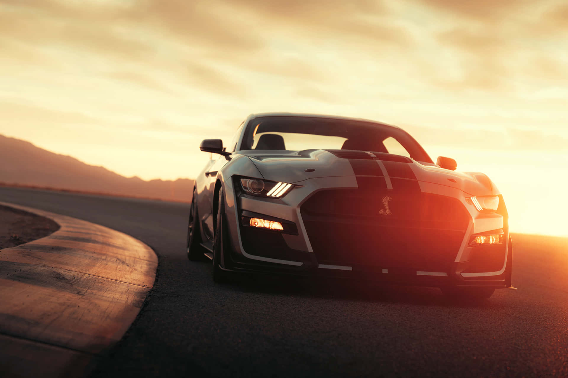Ford Mustang Shelby GT500, sunset, desert road, Full HD Desktop Wallpaper