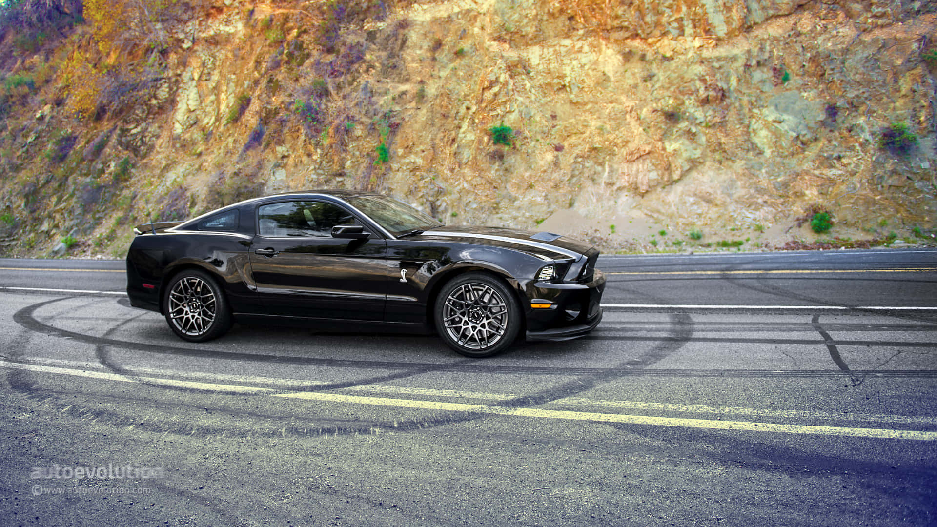 Ford Mustang Shelby GT500, 2014, black, Full HD Desktop Wallpaper