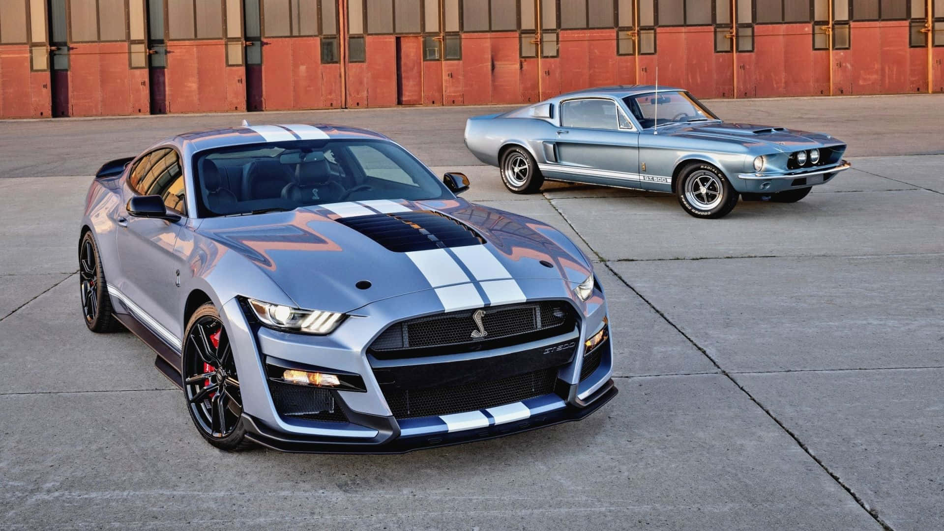Ford Mustang Shelby GT500, silver, white racing stripes, Full HD Desktop Wallpaper