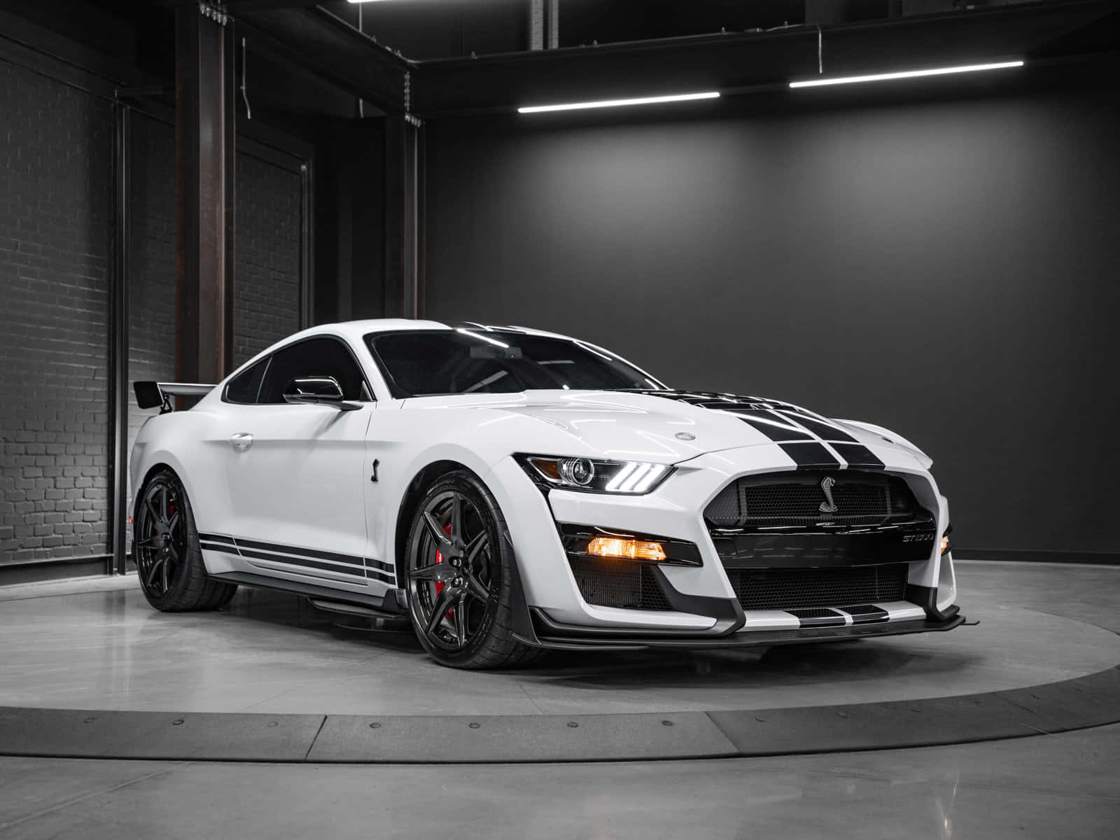 Ford Mustang Shelby GT500, white, black racing stripes, HD Desktop Wallpaper