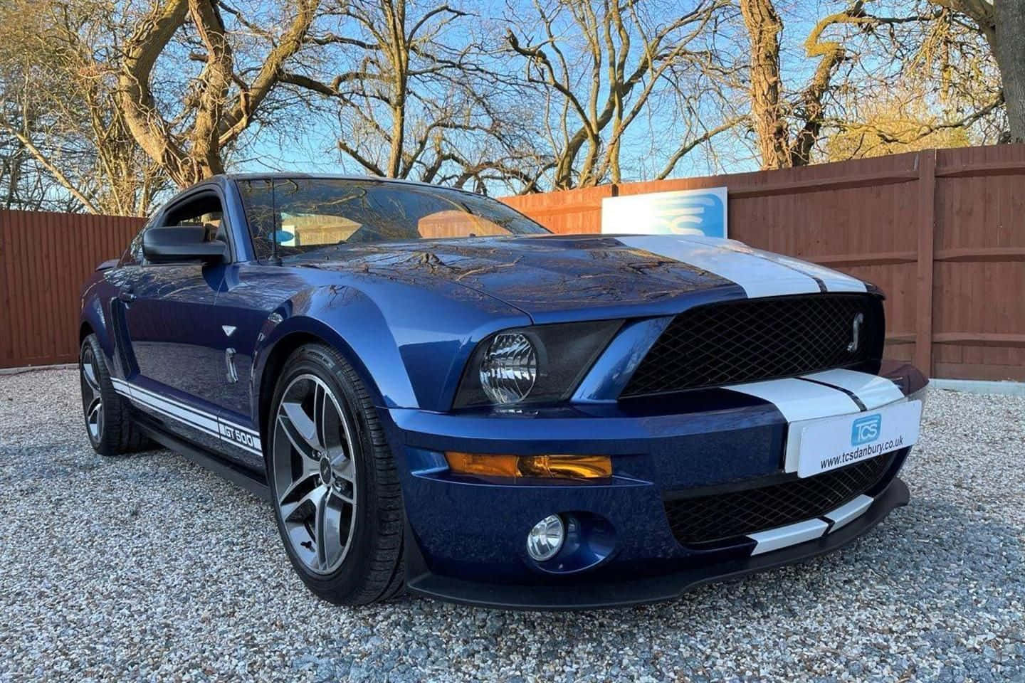 Ford Mustang Shelby GT500, glossy blue, white racing stripes, HD Desktop Wallpaper