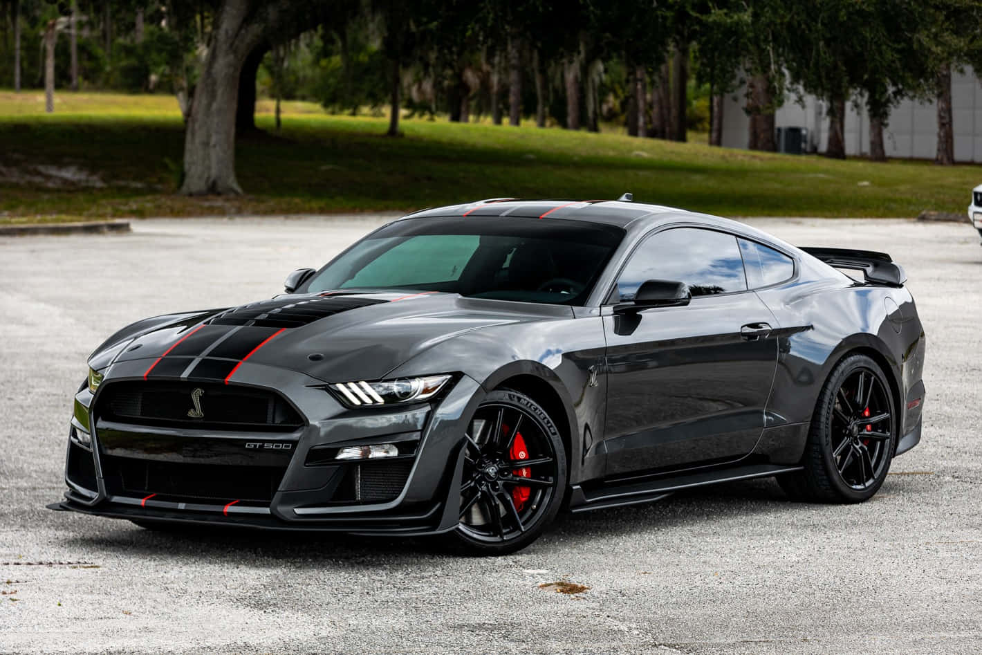Ford Mustang Shelby GT500, matte gray, black racing stripes, HD Desktop Wallpaper