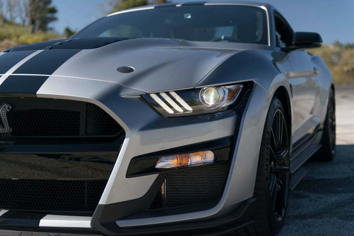 Ford Mustang Shelby GT500, silver, black racing stripes, SD Desktop Wallpaper