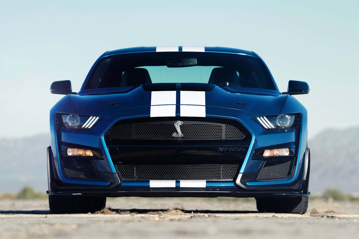 Ford Mustang Shelby GT500, blue, white racing stripes, SD Desktop Wallpaper