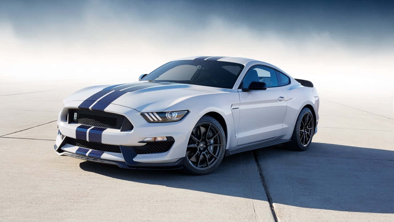 Ford Mustang Shelby GT500, white, blue racing stripes, HD Desktop Wallpaper