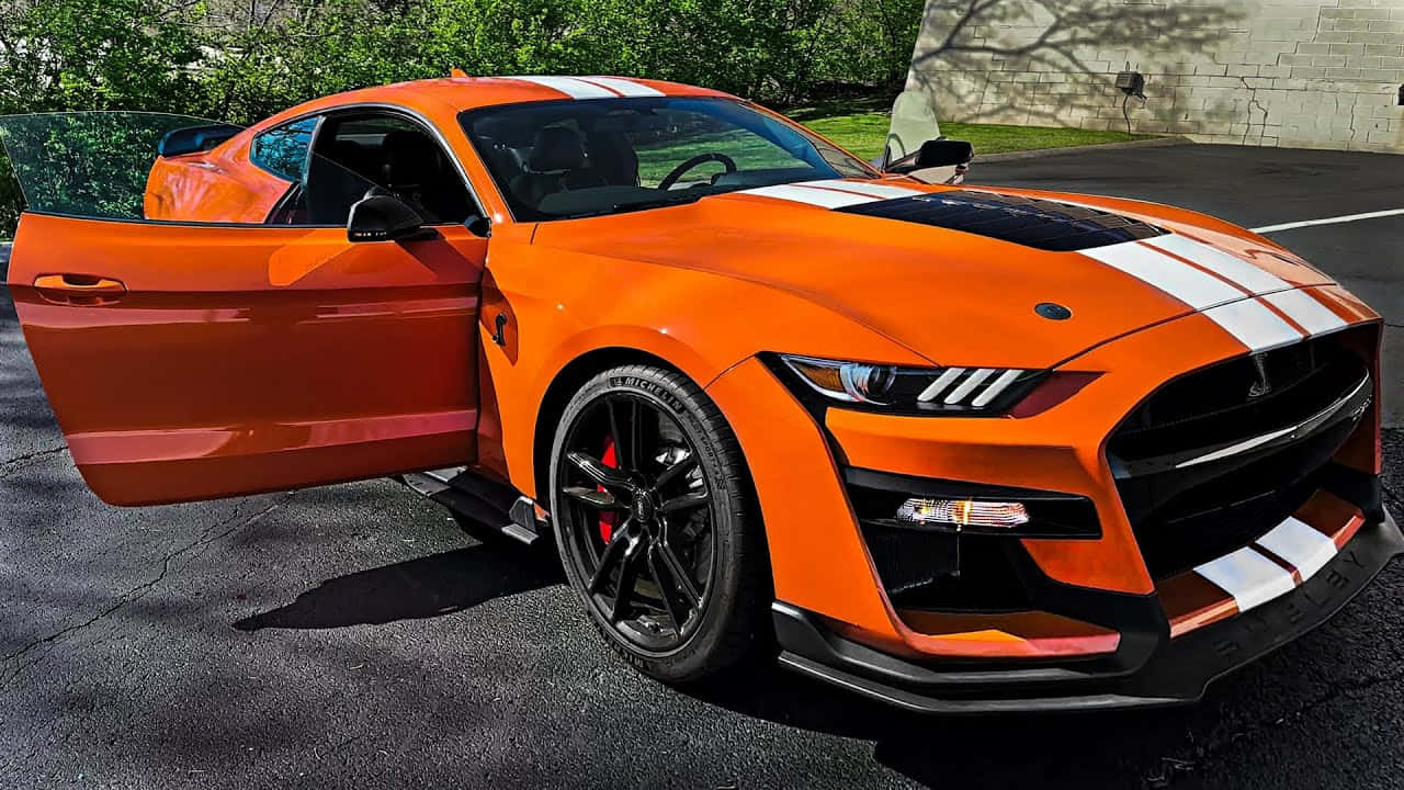 Ford Mustang Shelby GT500, orange, white racing stripes, HD Desktop Wallpaper