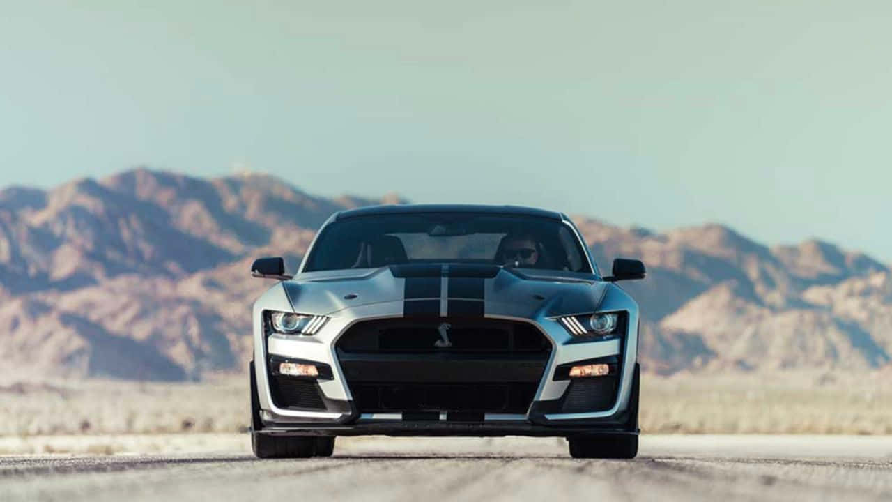 Ford Mustang Shelby GT500, silver, black racing stripes, HD Desktop Wallpaper