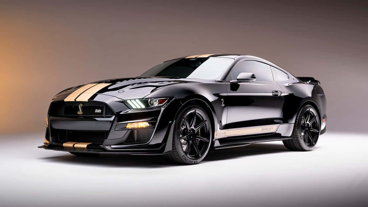 Ford Mustang Shelby GT500, black, gold racing stripes, SD Desktop Wallpaper