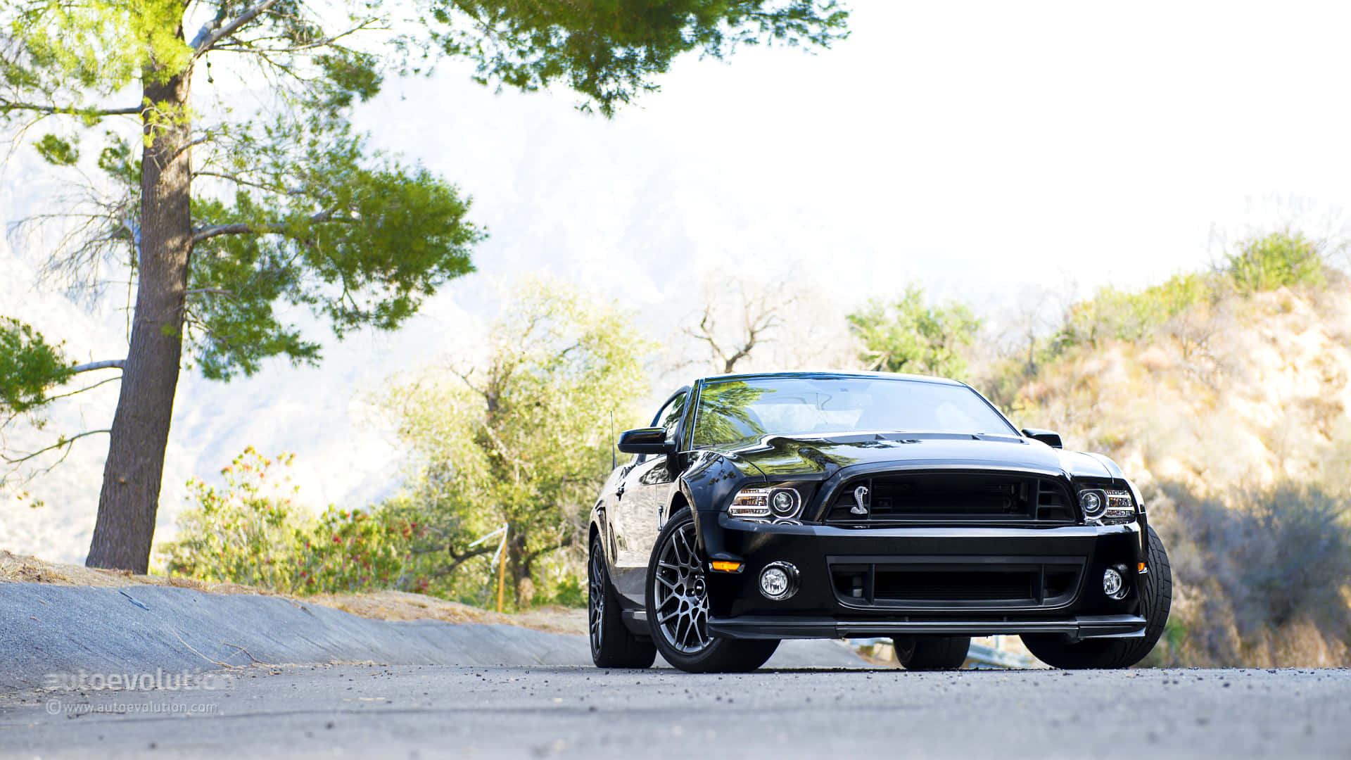 Ford Mustang 2013 Shelby GT500, black, sunlit gravel road, Full HD Desktop Wallpaper