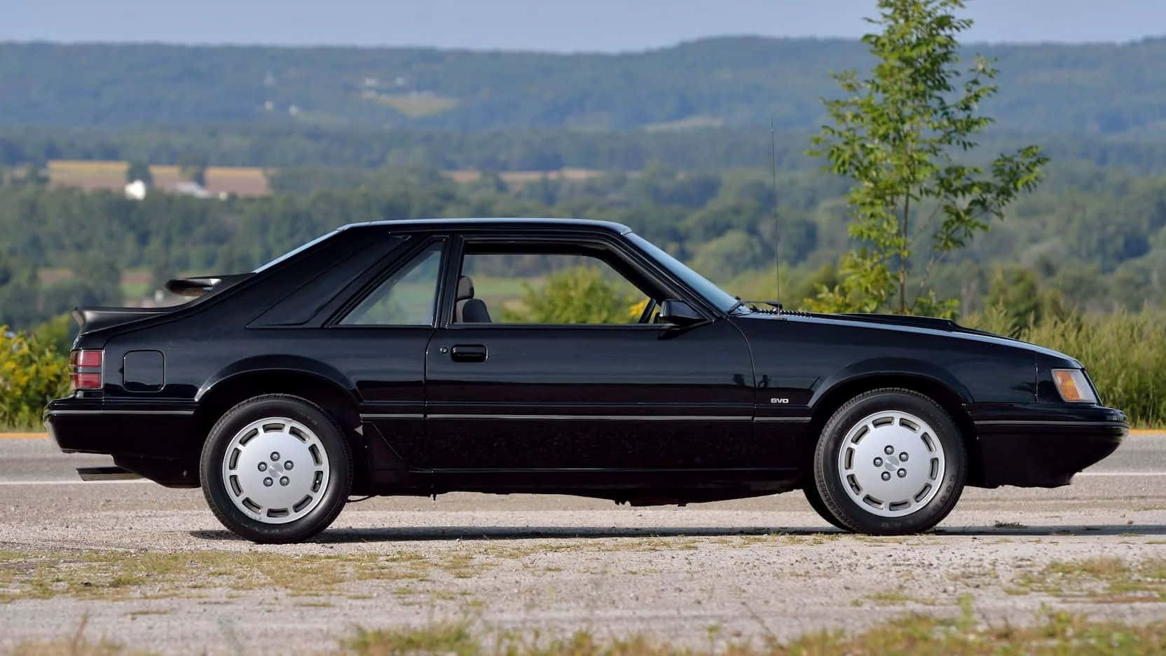 Ford Mustang SVO, black, side view, HD Desktop Wallpaper