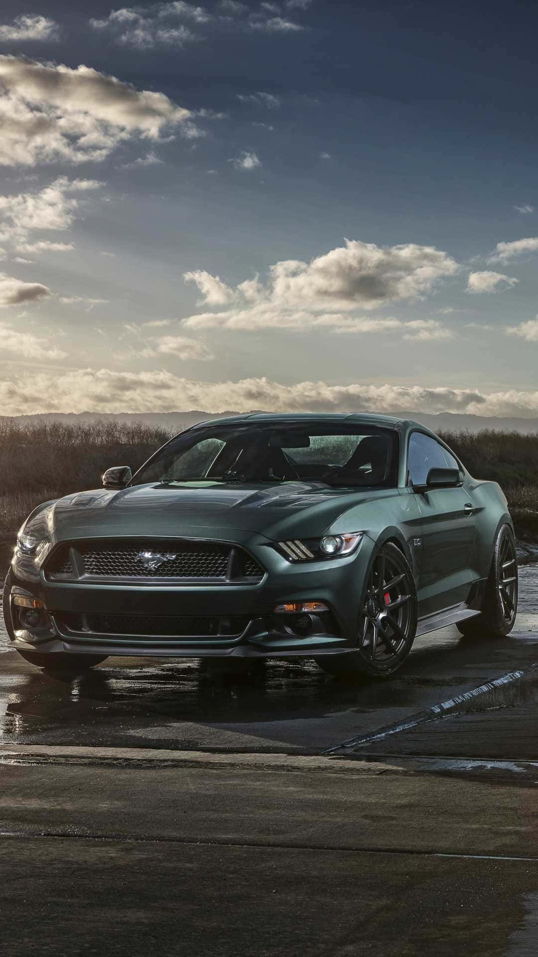 2019 Ford Mustang, green, wet asphalt road, Full HD Phone Wallpaper
